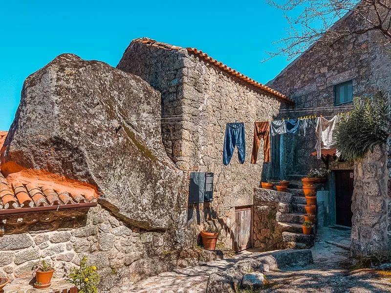 Monsanto & Centro de Portugal — imagem 4